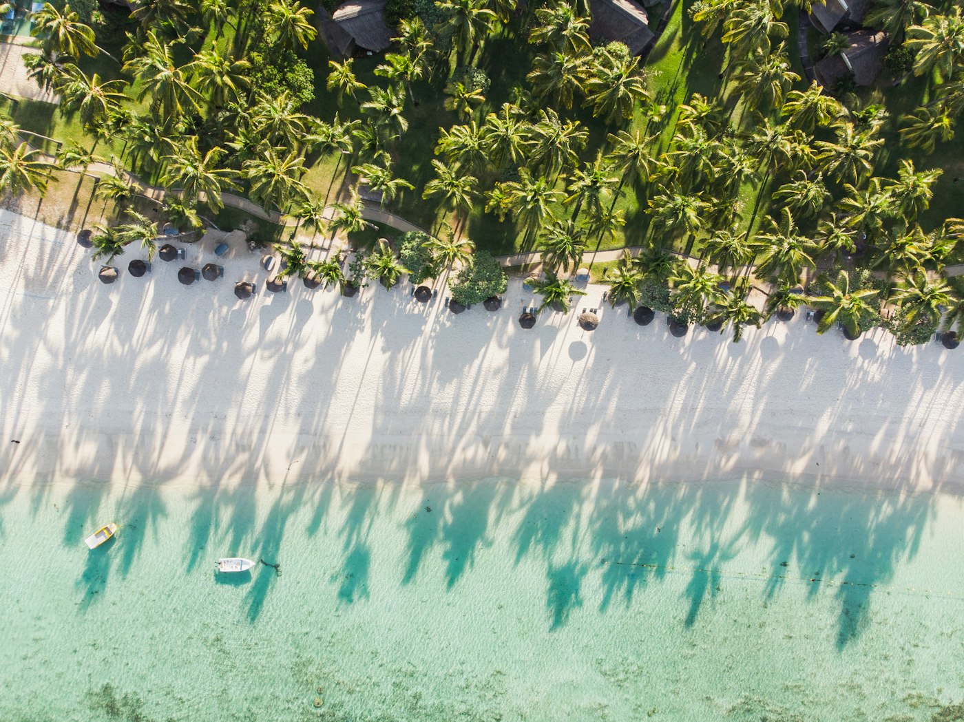 7-Day Serengeti Safari & Zanzibar Beach