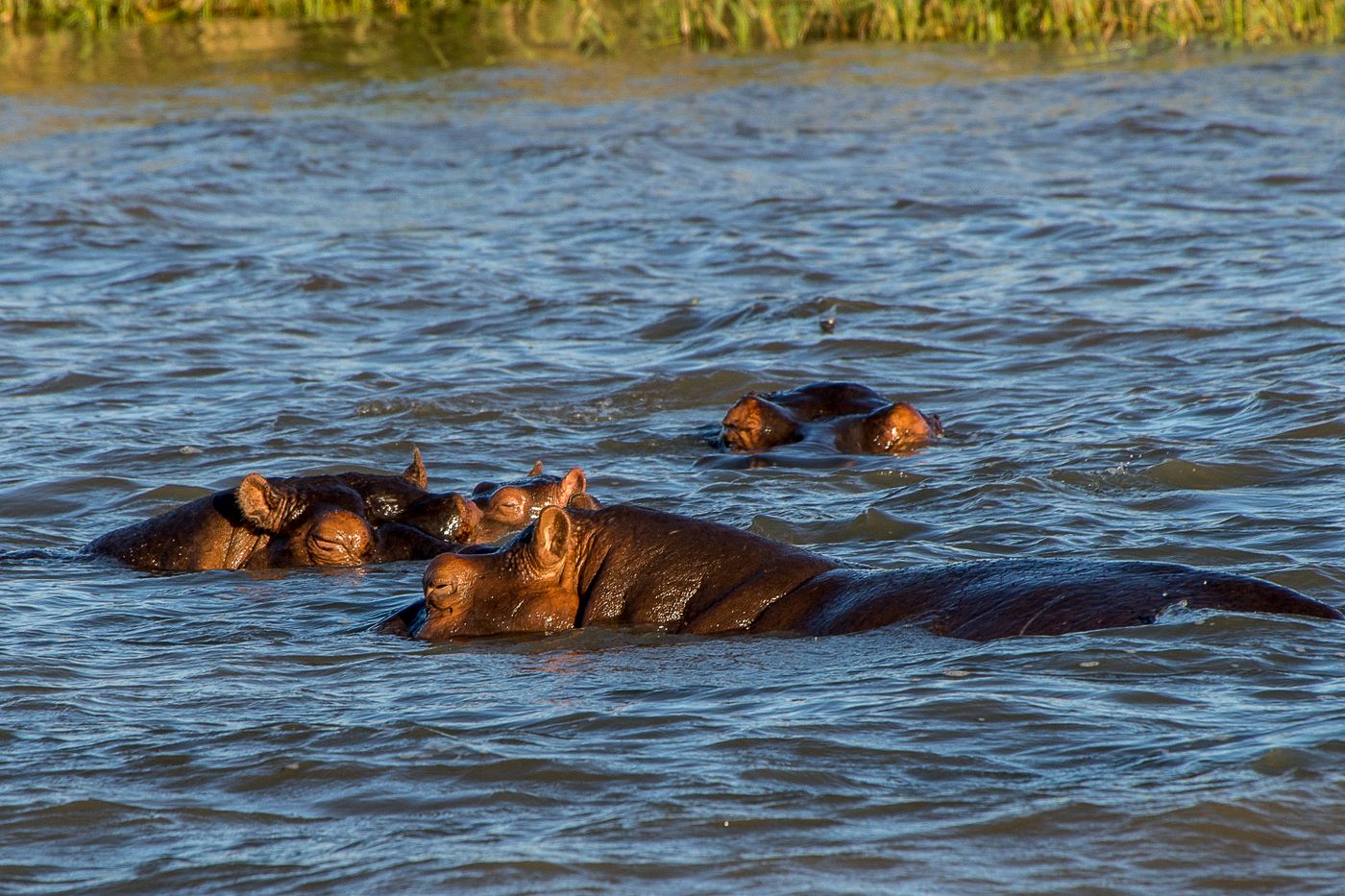 5-Day Nyerere (Selous) Boat & Walking Safari