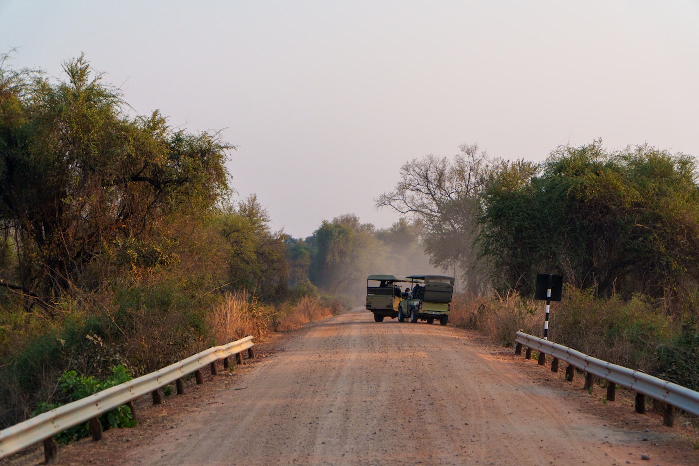 A safari 4x4 on a game drive in the Tanzanian bush