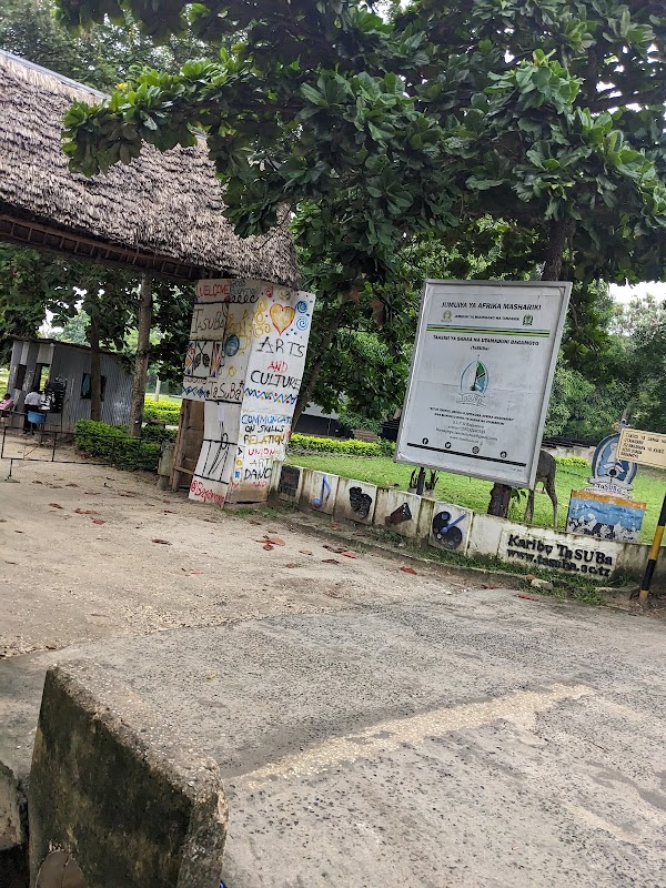 Bagamoyo College of Arts (TaSUBa)