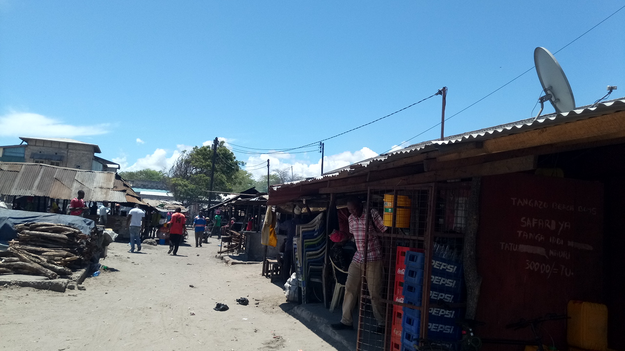 Bagamoyo fish market grills