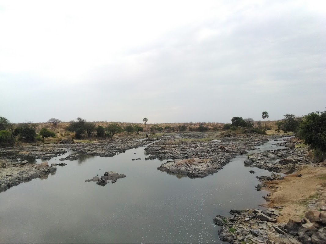 Boat and river viewpoints