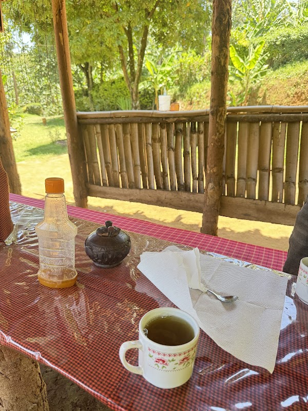 Coffee plantation tour