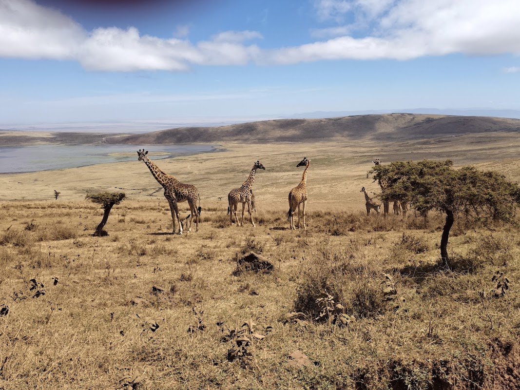 Crater floor picnic sites