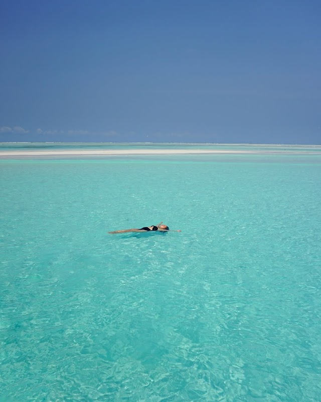 Diving and snorkelling at Mnemba Atoll
