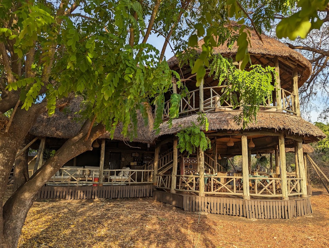 Guided walking safari