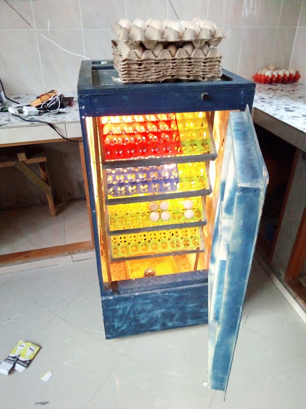 Kibirizi fish market