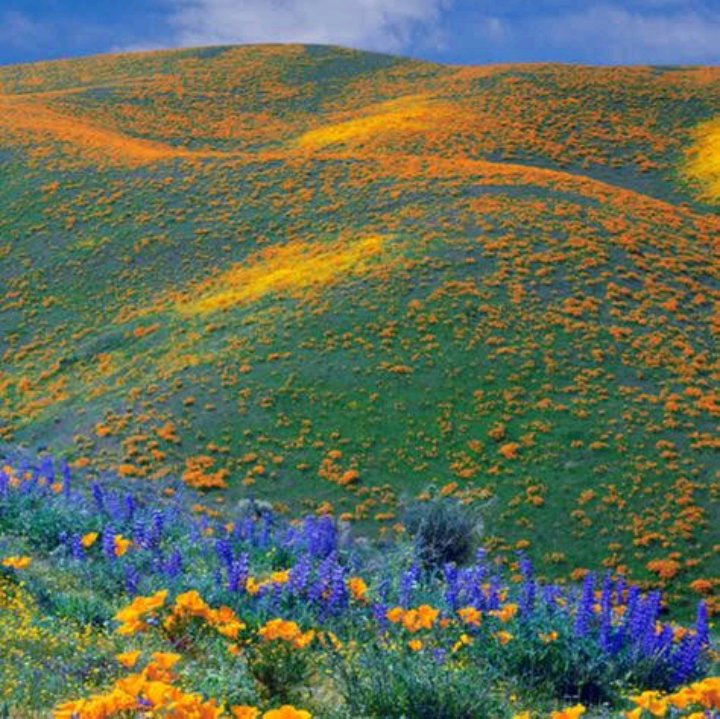 Kitulo Plateau hiking