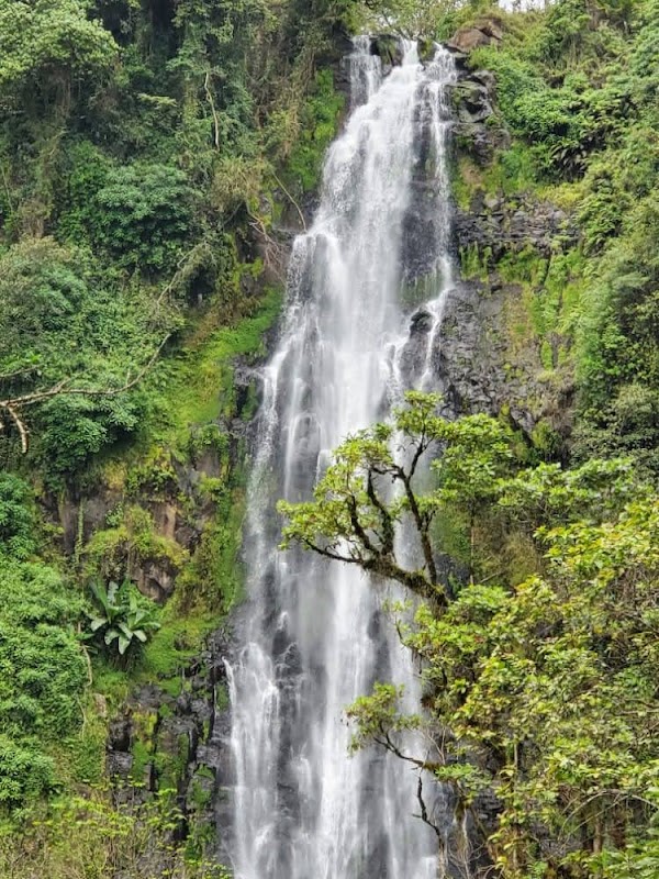 Materuni Waterfall