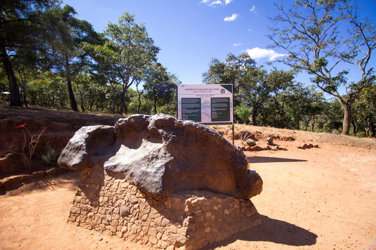 Mbozi Meteorite visit