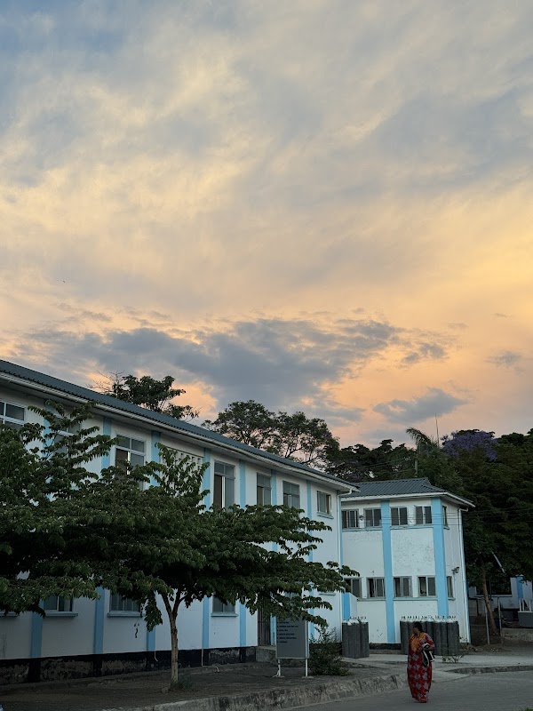 Mount Meru Regional Referral Hospital