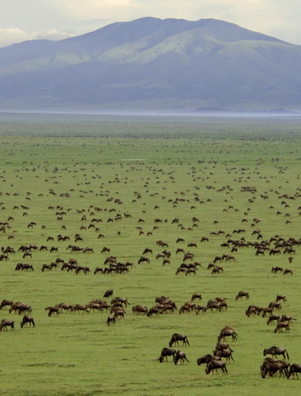 Ngorongoro Conservation Area gate