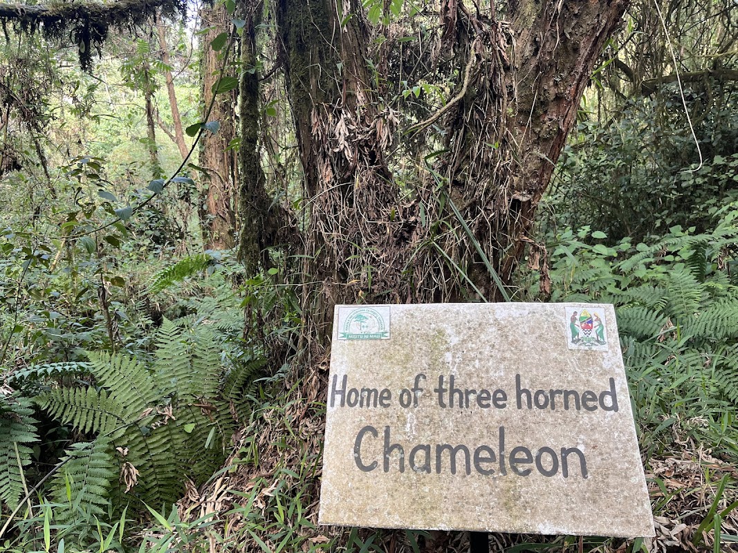 Ngozi crater lake hike