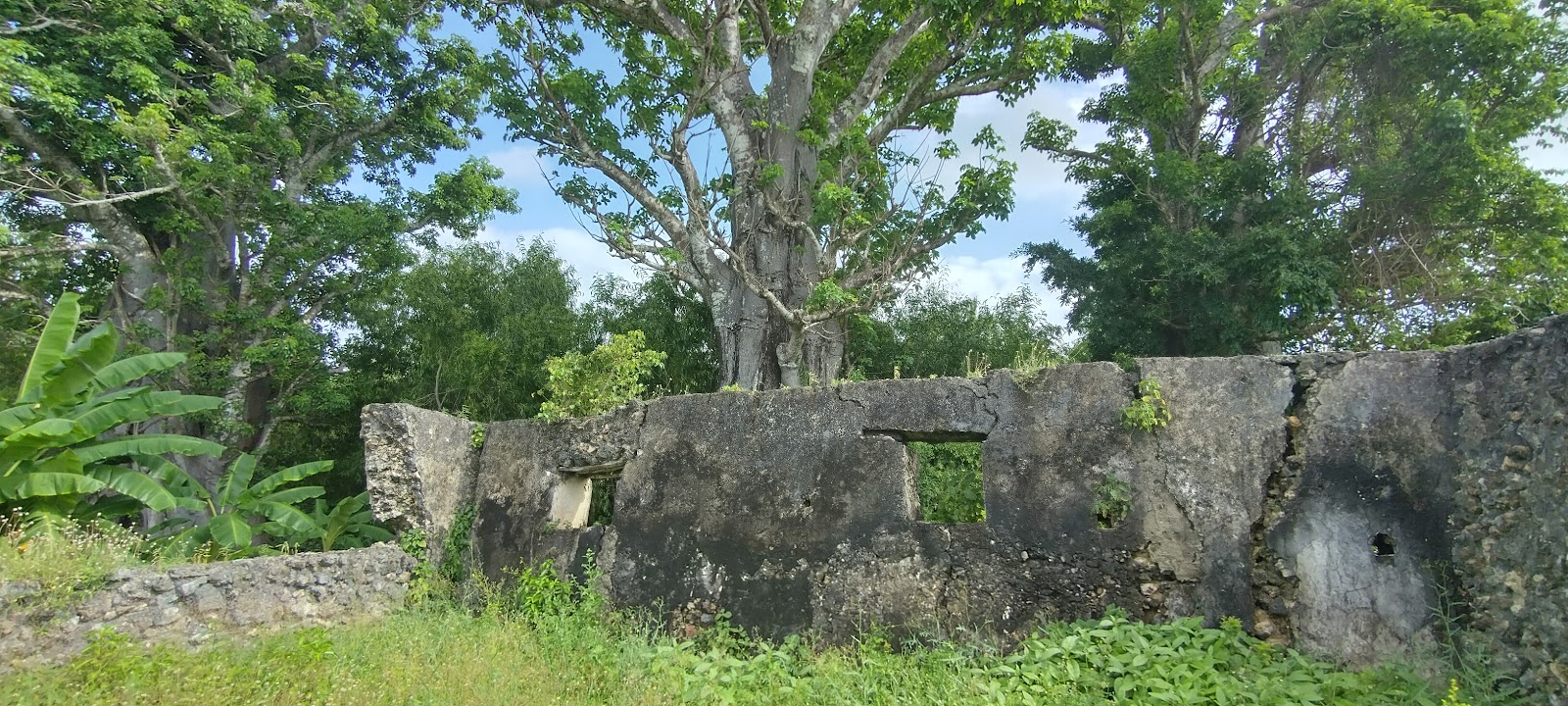 Pujini ruins