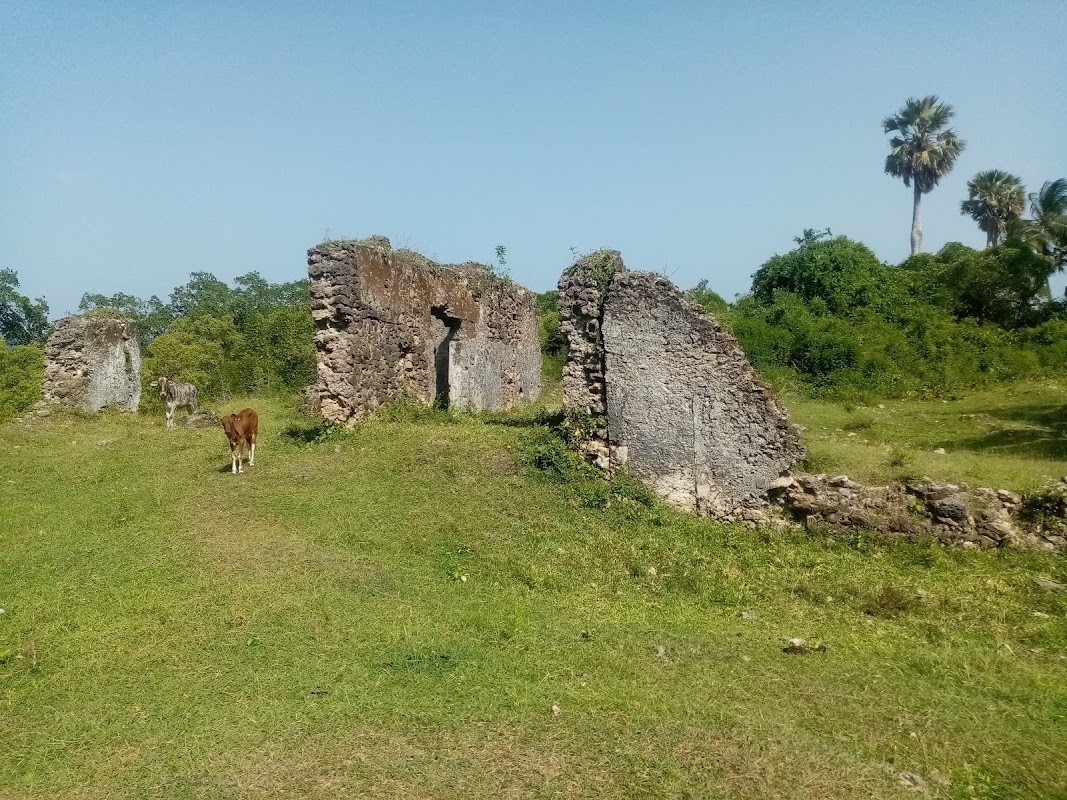 Ras Mkumbuu ruins visit