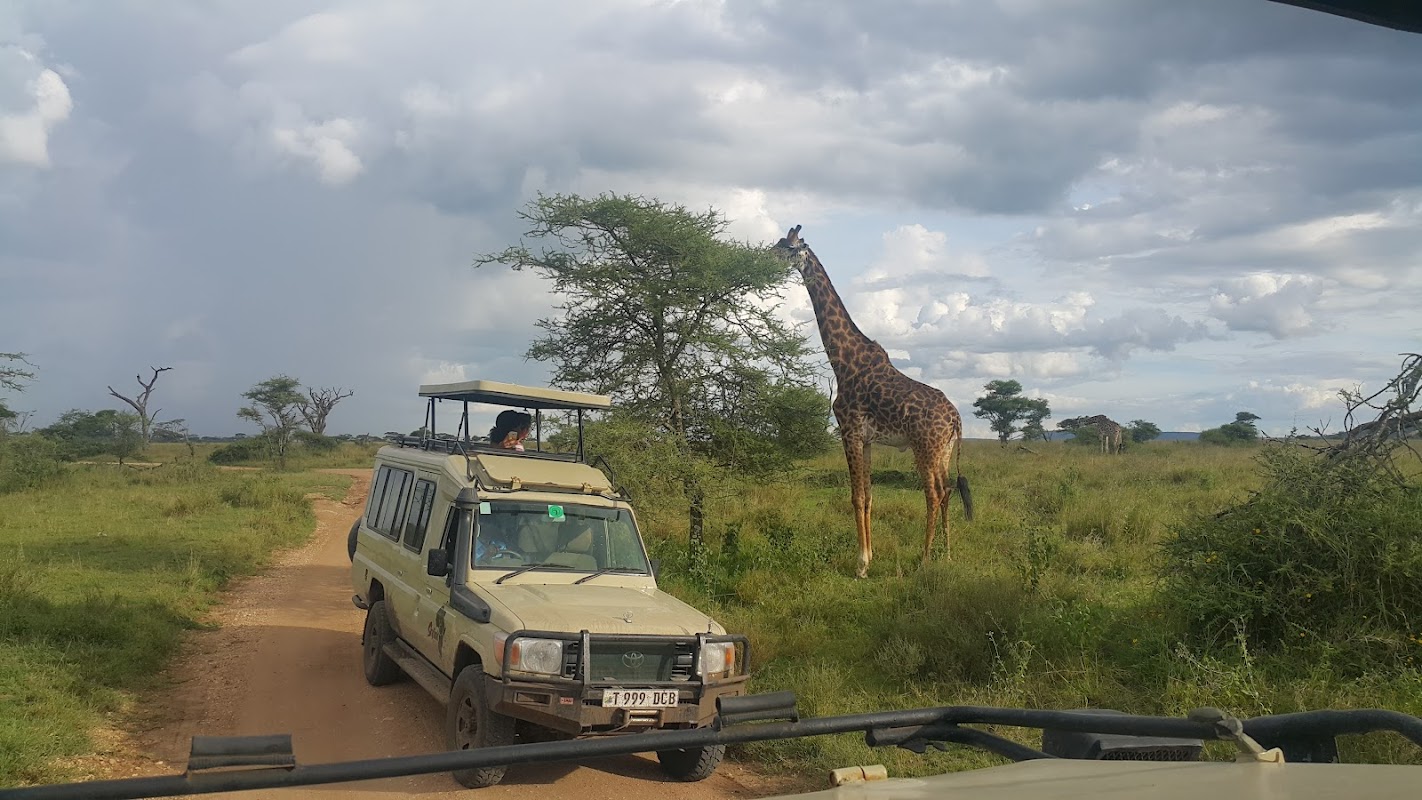 River crossing viewing