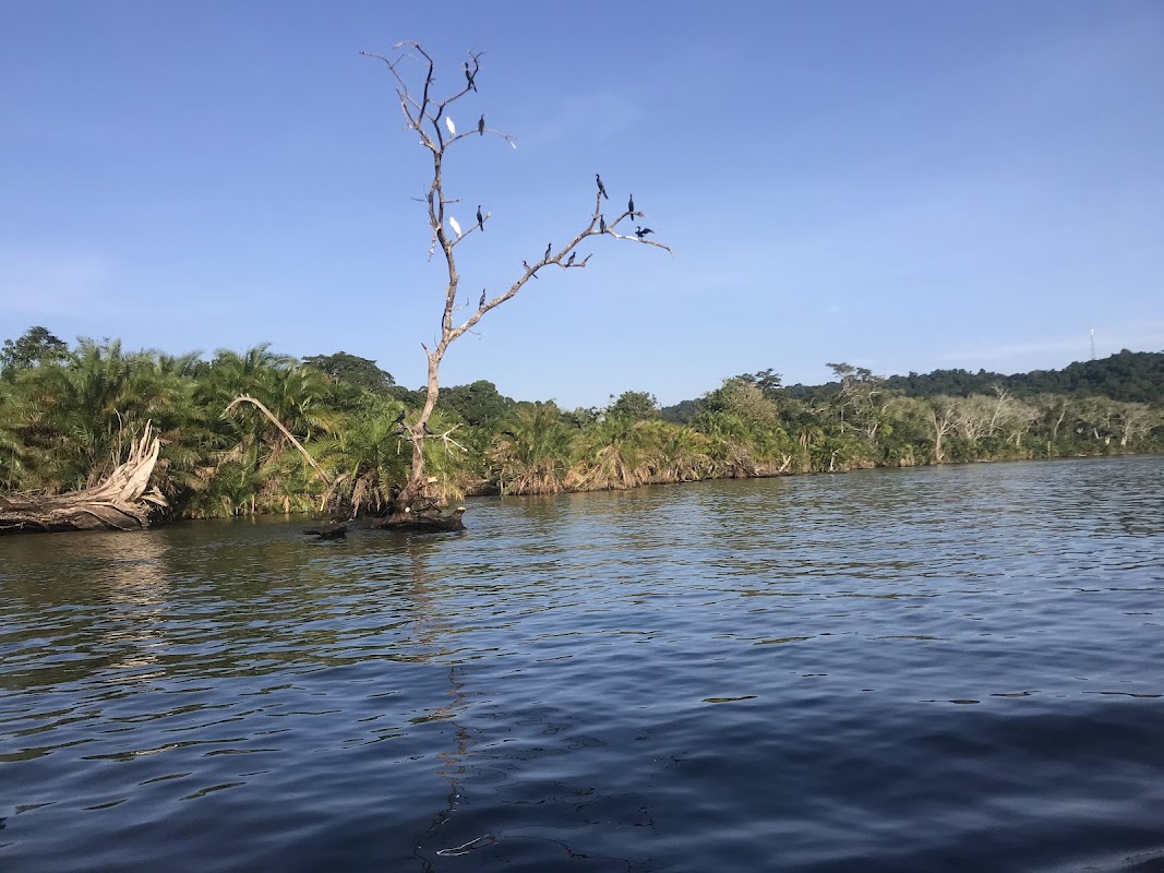 Rubondo Island National Park
