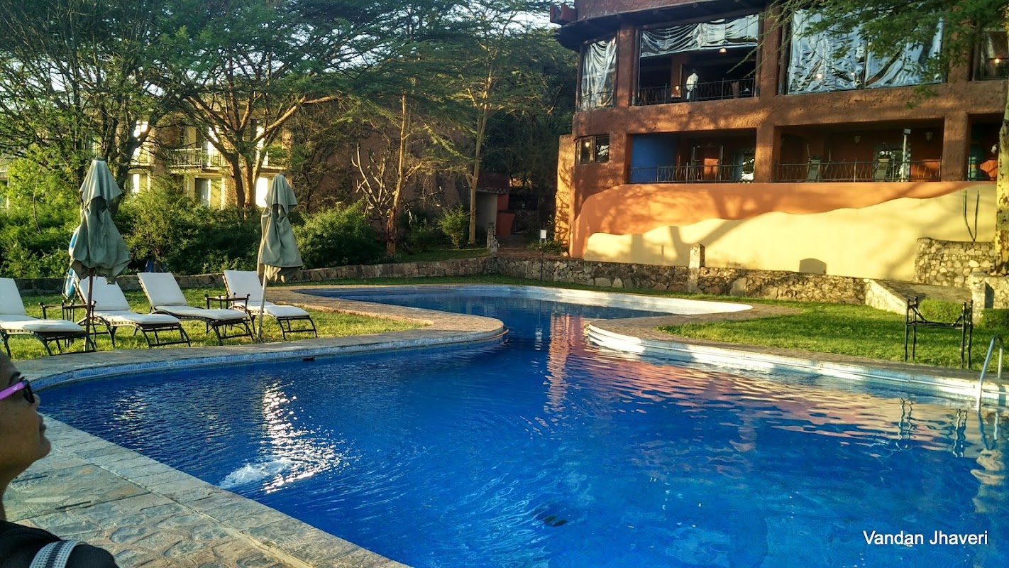 Serengeti Sopa dining room