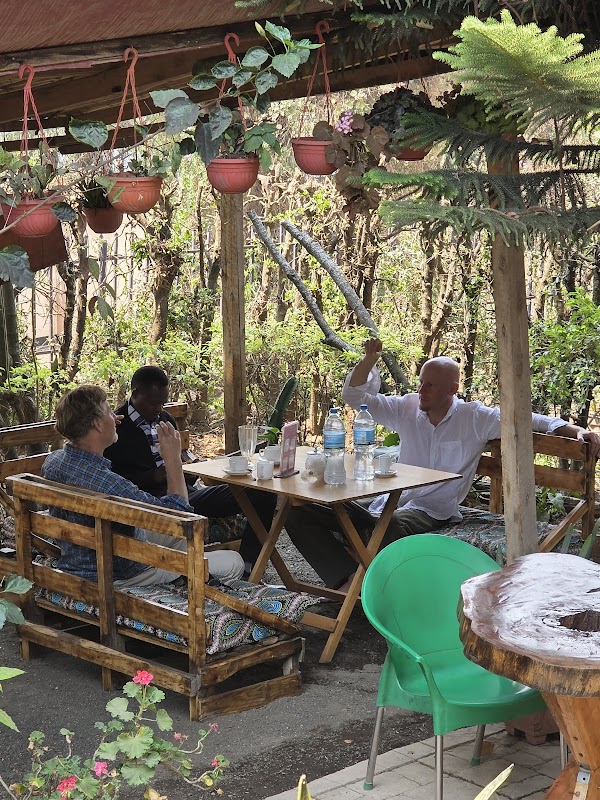 Tea and coffee estate tours