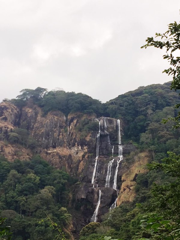 Udzungwa Mountains (nearby)