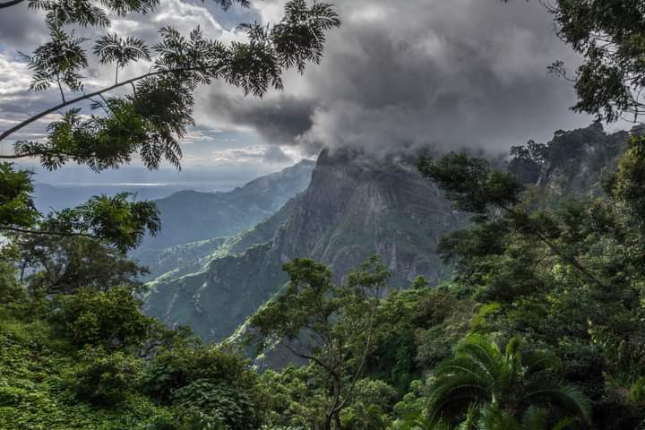 Usambara Mountains (Lushoto)