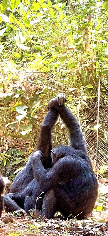 Kigoma