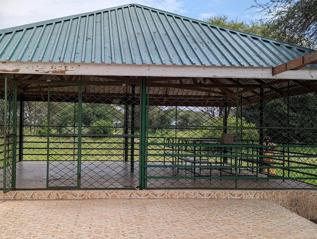 Lake Manyara & Tarangire