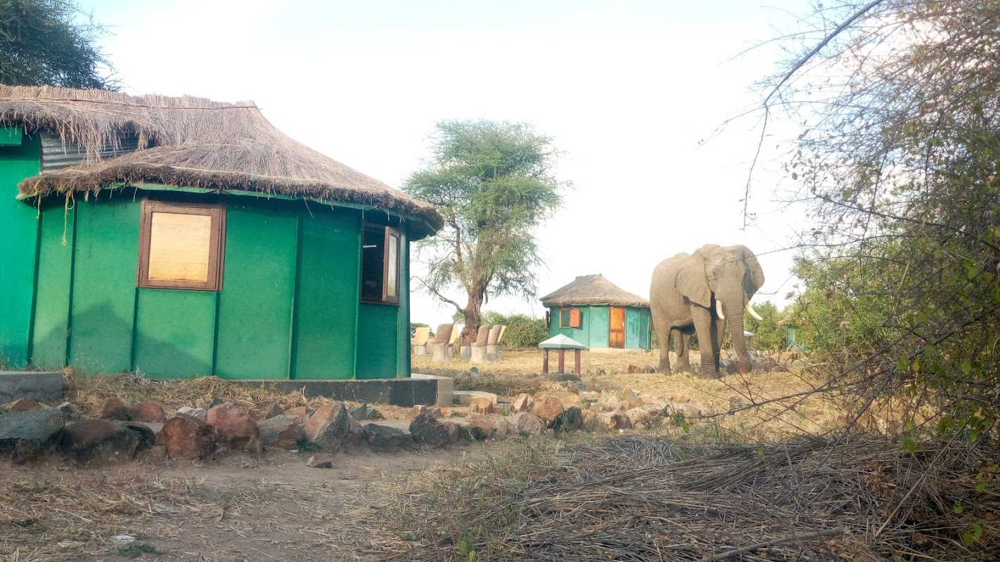 Iringa & Ruaha