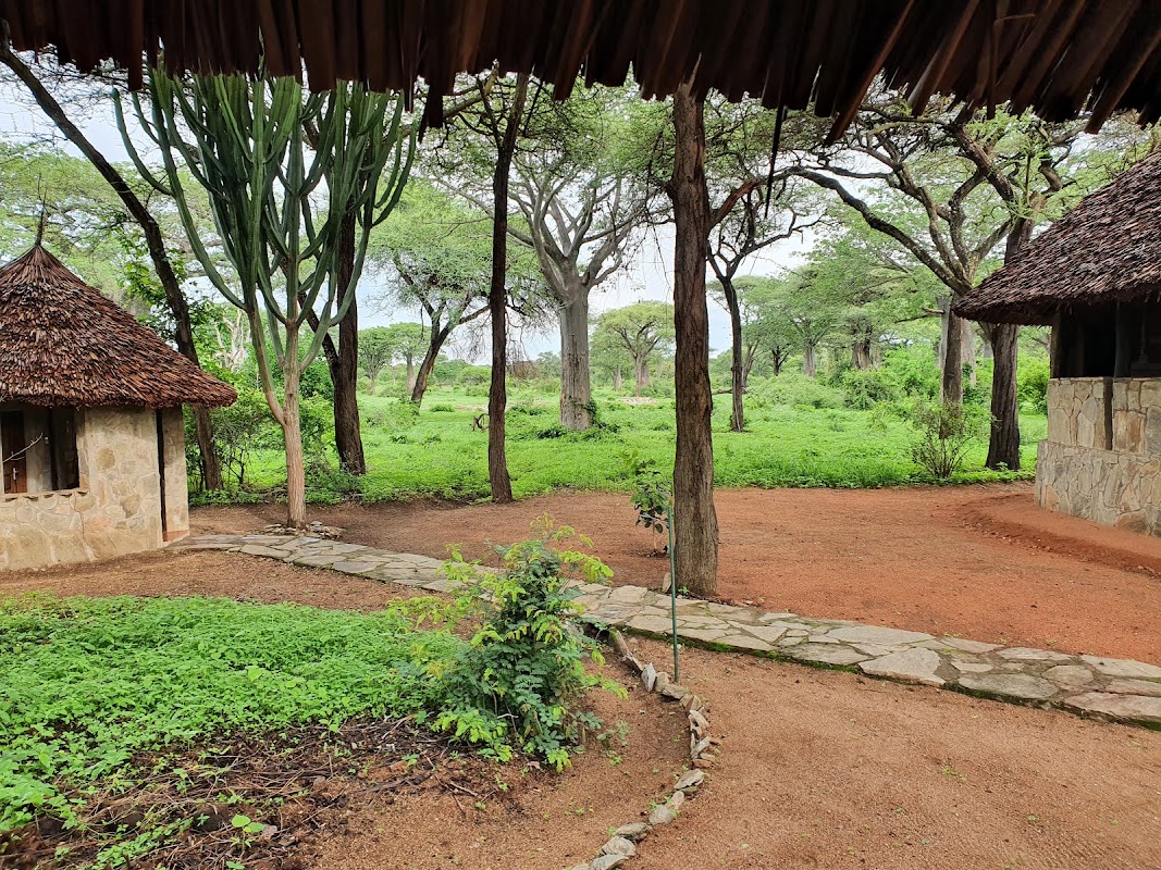 Iringa & Ruaha
